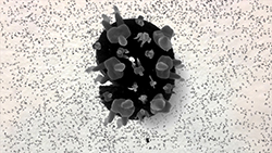 journeymation Article9