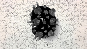 journeymation Article 9